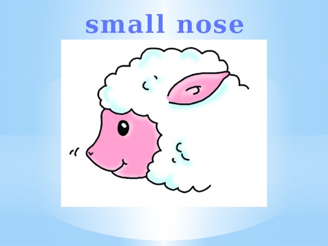 small nose