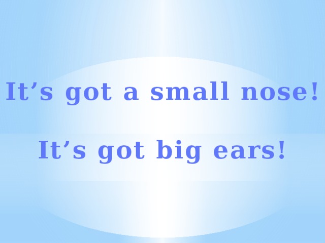 It’s got a small nose!  It’s got big ears!