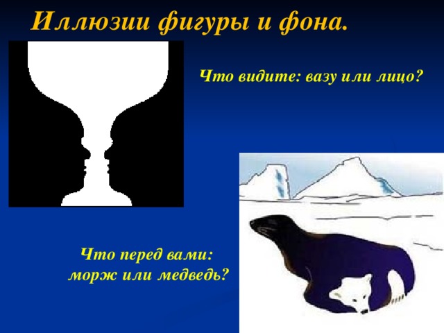Иллюзии фигуры и фона. Что видите: вазу или лицо? Что перед вами:  морж или медведь?