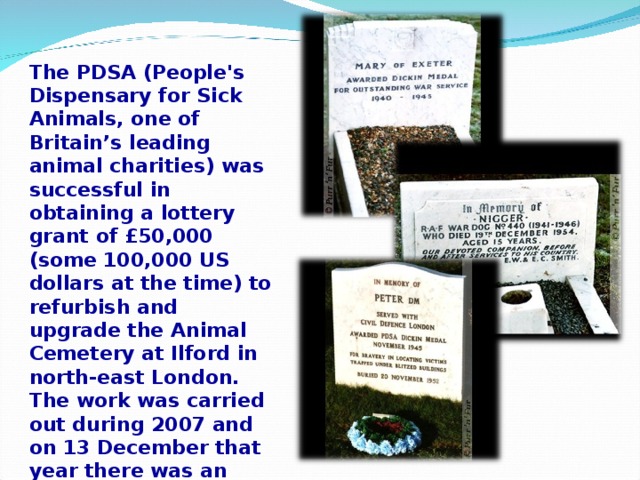 The PDSA (People's Dispensary for Sick Animals, one of Britain’s leading animal charities) was successful in obtaining a lottery grant of £50,000 (some 100,000 US dollars at the time) to refurbish and upgrade the Animal Cemetery at Ilford in north-east London. The work was carried out during 2007 and on 13 December that year there was an official opening ceremony.