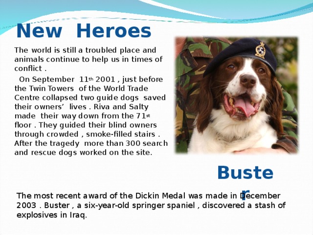 New Heroes The world is still a troubled place and animals continue to help us in times of conflict .  On September 11 th 2001 , just before the Twin Towers of the World Trade Centre collapsed two guide dogs saved their owners’ lives . Riva and Salty made their way down from the 71 st floor . They guided their blind owners through crowded , smoke-filled stairs . After the tragedy more than 300 search and rescue dogs worked on the site. Buster The most recent award of the Dickin Medal was made in December 2003 . Buster , a six-year-old springer spaniel , discovered a stash of explosives in Iraq.