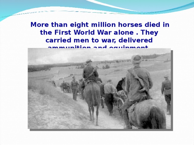 More than eight million horses died in the First World War alone . They carried men to war, delivered ammunition and equipment.