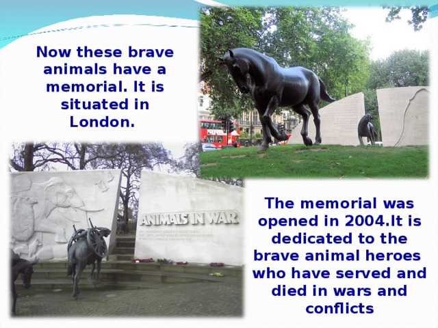 Now these brave animals have a memorial. It is situated in London. The memorial was opened in 2004.It is dedicated to the brave animal heroes who have served and died in wars and conflicts