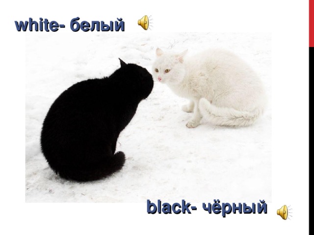 white- белый black- чёрный