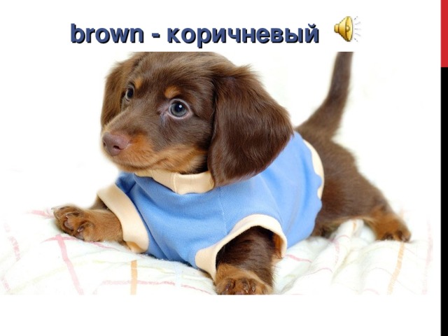 brown - коричневый