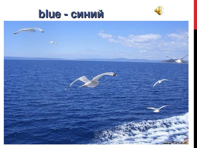 blue - синий