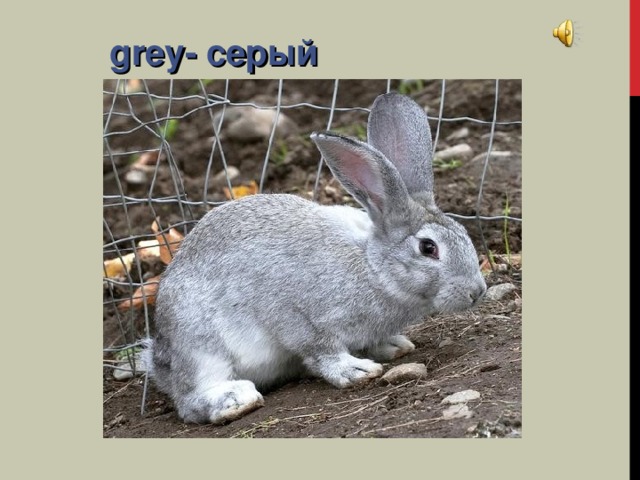 grey- серый