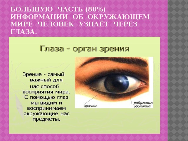 Большую часть (80%) информации об окружающем мире человек узнаёт через глаза.