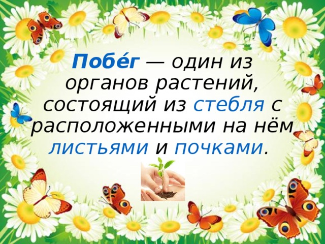 Побе́г  — один из органов растений, состоящий из стебля с расположенными на нём листьями  и почками .