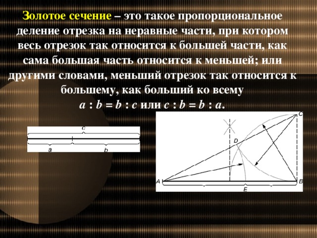 Золотое сечение – это такое пропорциональное деление отрезка на неравные части, при котором весь отрезок так относится к большей части, как сама большая часть относится к меньшей; или другими словами, меньший отрезок так относится к большему, как больший ко всему a : b = b : c или с : b = b : а .