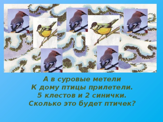 А в суровые метели  К дому птицы прилетели.  5 клестов и 2 синички.  Сколько это будет птичек?