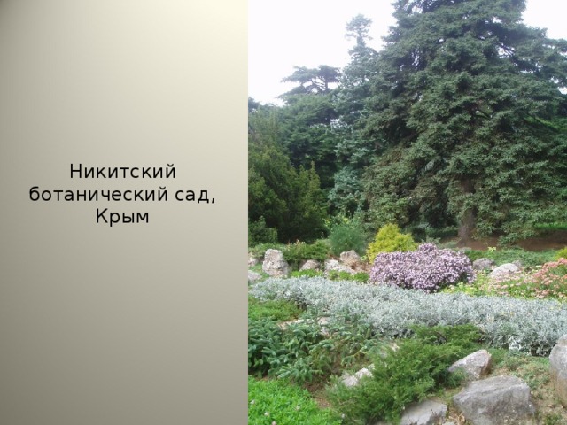 Никитский ботанический сад, Крым