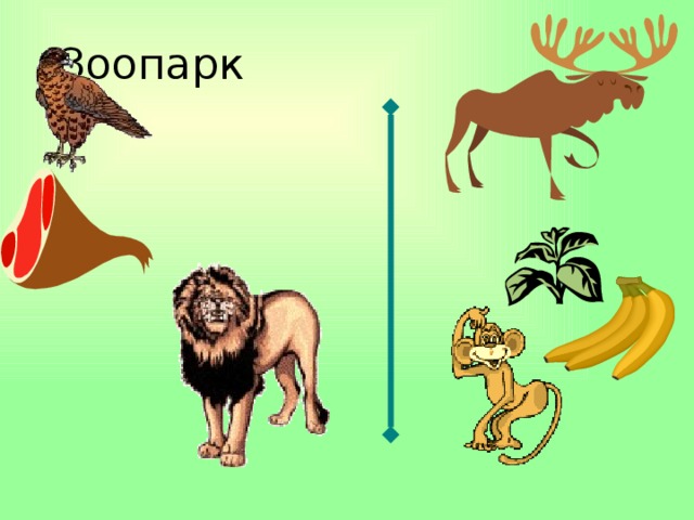 С чем связаны те отличия между хищниками и травоядными о которых написано под рисунками