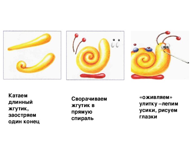 Катаем длинный жгутик, заостряем один конец «оживляем» улитку –лепим усики, рисуем глазки Сворачиваем жгутик в прямую спираль