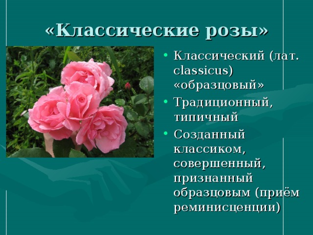 «Классические розы»