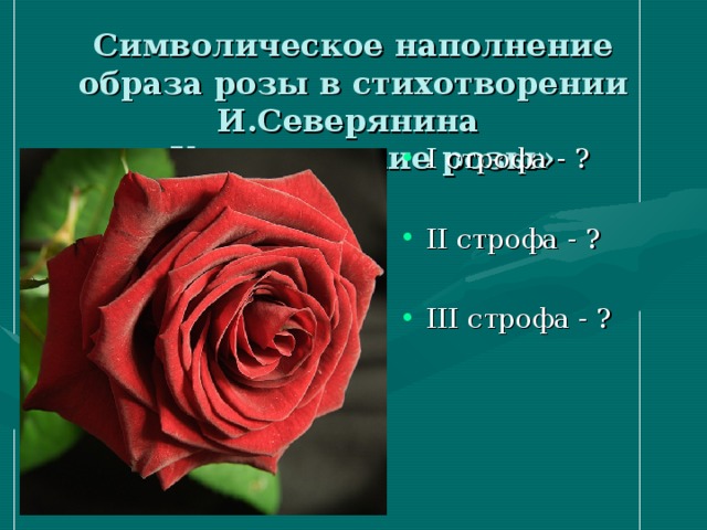 Символическое наполнение образа розы в стихотворении И.Северянина  «Классические розы»