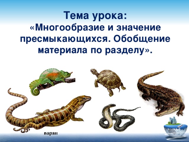 Тест по биологии 7 класс рептилии. Пресмыкающиеся в жизни человека. Роль пресмыкающихся. Занятие по теме пресмыкающиеся. Роль рептилий в природе.