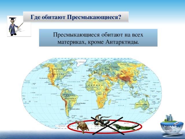 Где обитают Пресмыкающиеся? Пресмыкающиеся обитают на всех материках, кроме Антарктиды.