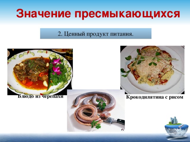 Значение пресмыкающихся 2. Ценный продукт питания. Блюдо из черепахи Крокодилятина с рисом 21