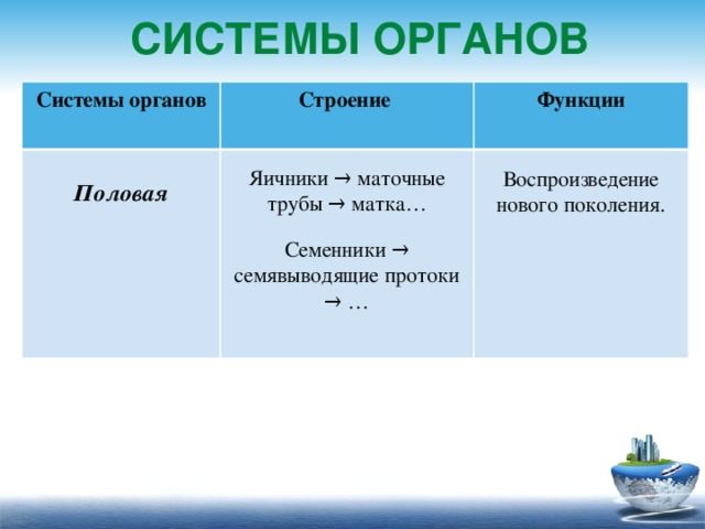 Системы органов Системы органов  Строение Функции Половая Яичники → маточные трубы → матка… Воспроизведение нового поколения. Семенники → семявыводящие протоки → …