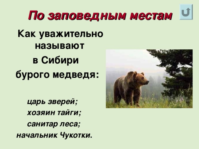 По заповедным местам  Как уважительно называют в Сибири бурого медведя:   царь зверей;  хозяин тайги;  санитар леса;  начальник Чукотки .