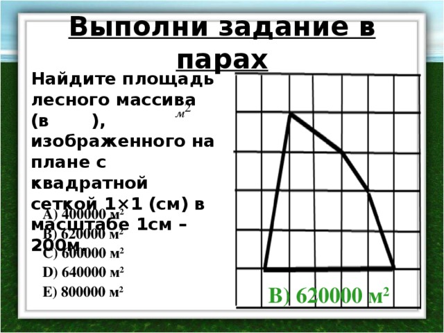 Выполни задание в парах Найдите площадь лесного массива (в  ), изображенного на плане с квадратной сеткой 1×1 (см) в масштабе 1см – 200м.  А) 400000 м 2 В) 620000 м 2 С) 600000 м 2 D) 6 40000 м 2 E) 800000 м 2 В) 620000 м 2