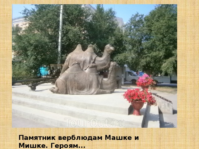 Памятник верблюдам Машке и Мишке. Героям...