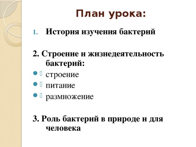 План урока: История изучения бактерий  2. Строение и жизнедеятельность бактерий: строение питание размножение  3. Роль бактерий в природе и для человека