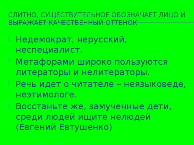 Слитно, существительное обозначает лицо и выражает качественный оттенок