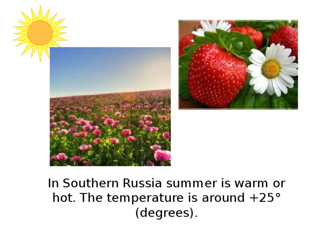 In Southern Russia summer is warm or hot. The temperature is around +25 ° (degrees).