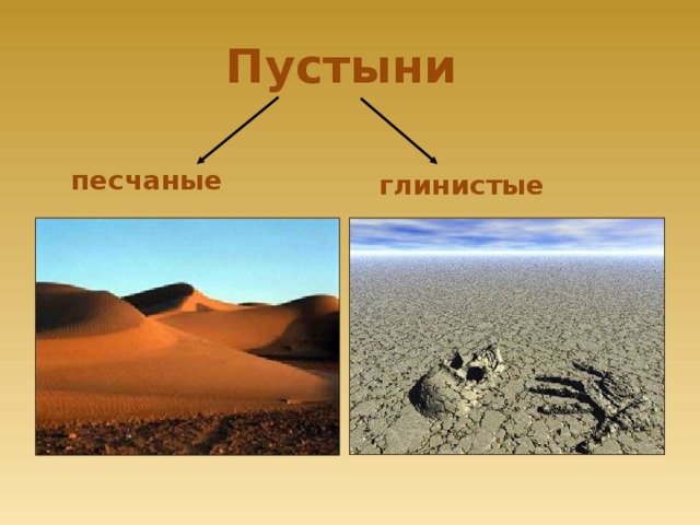 Пустыни  глинистые песчаные .