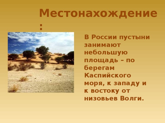 Местонахождение: . В России пустыни занимают небольшую площадь – по берегам Каспийского моря, к западу и к востоку от низовьев Волги.