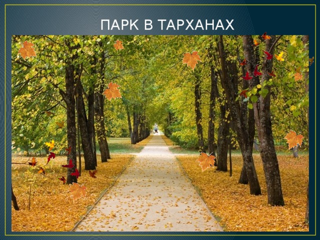 ПАРК В ТАРХАНАХ