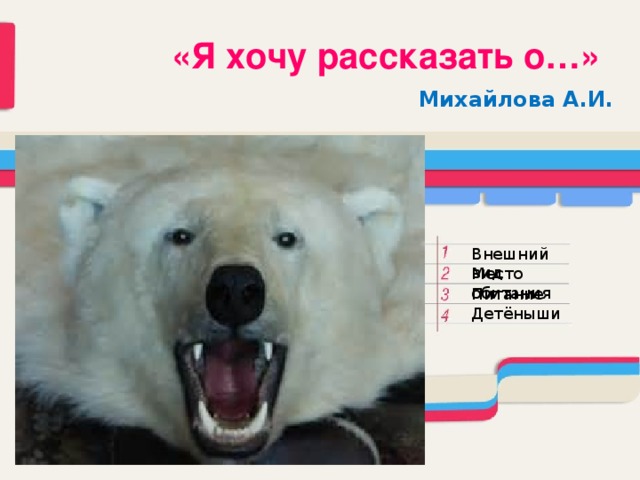 «Я хочу рассказать о…» Михайлова А.И. Внешний вид Место обитания Питание Детёныши