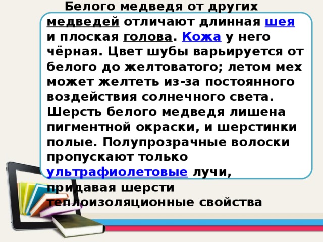 Белого медведя от других медведей отличают длинная шея и плоская голова . Кожа у него чёрная. Цвет шубы варьируется от белого до желтоватого; летом мех может желтеть из-за постоянного воздействия солнечного света. Шерсть белого медведя лишена пигментной окраски, и шерстинки полые. Полупрозрачные волоски пропускают только ультрафиолетовые лучи, придавая шерсти теплоизоляционные свойства