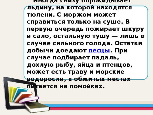 Иногда снизу опрокидывает льдину, на которой находятся тюлени. С моржом может справиться только на суше. В первую очередь пожирает шкуру и сало, остальную тушу — лишь в случае сильного голода. Остатки добычи доедают песцы . При случае подбирает падаль, дохлую рыбу, яйца и птенцов, может есть траву и морские водоросли, в обжитых местах питается на помойках.