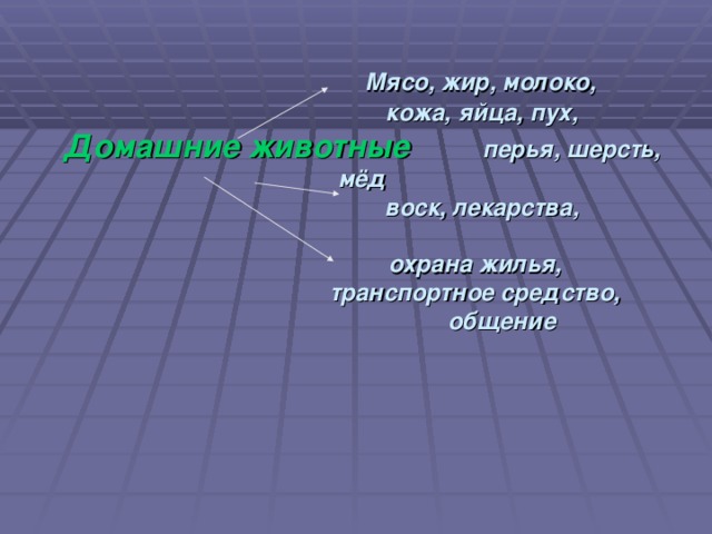 Мясо, жир, молоко,  кожа, яйца, пух,  Домашние животные перья, шерсть, мёд  воск, лекарства,   охрана жилья,  транспортное средство,  общение