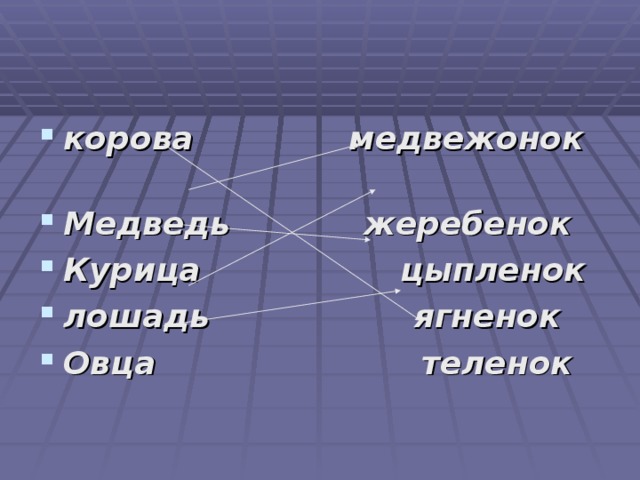 корова медвежонок Медведь жеребенок Курица цыпленок лошадь  ягненок Овца  теленок