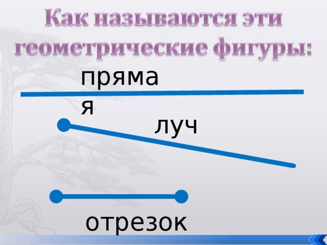 прямая луч отрезок