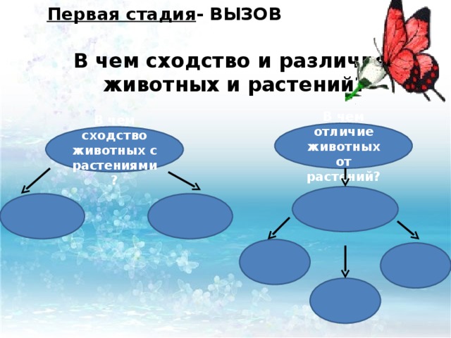 Первая стадия - ВЫЗОВ  В чем сходство и различие животных и растений?     В чем отличие животных от растений? В чем сходство животных с растениями?