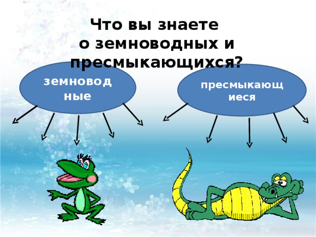 Что вы знаете о земноводных и пресмыкающихся? земноводные пресмыкающиеся