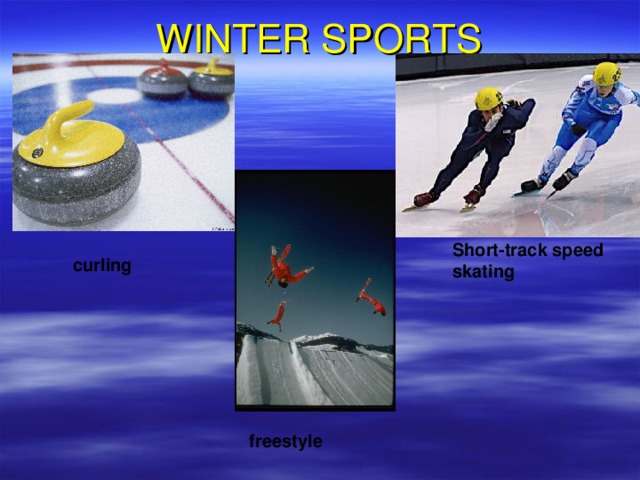 WINTER SPORTS Short-track speed skating curling freestyle