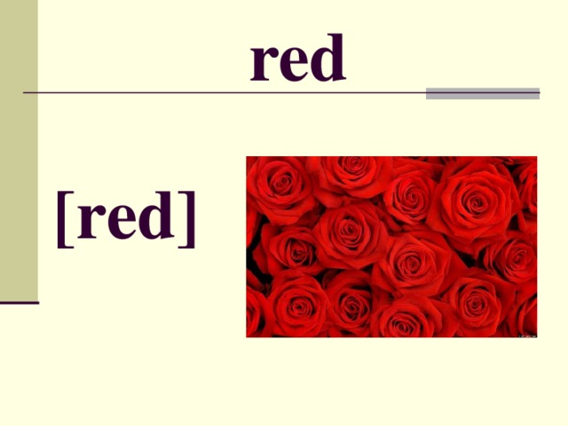 red [ red ]