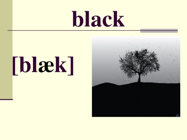 black [ bl æ k ]