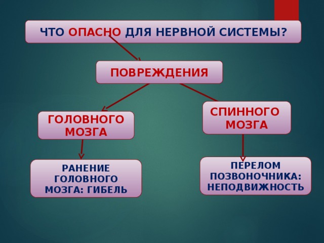 ЧТО ОПАСНО ДЛЯ НЕРВНОЙ СИСТЕМЫ? ПОВРЕЖДЕНИЯ СПИННОГО МОЗГА ГОЛОВНОГО МОЗГА ПЕРЕЛОМ ПОЗВОНОЧНИКА: НЕПОДВИЖНОСТЬ РАНЕНИЕ ГОЛОВНОГО МОЗГА: ГИБЕЛЬ