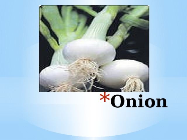 Onion