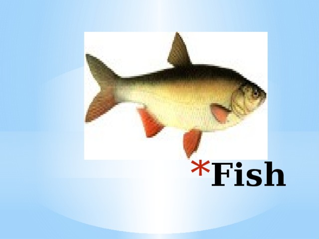 Fish