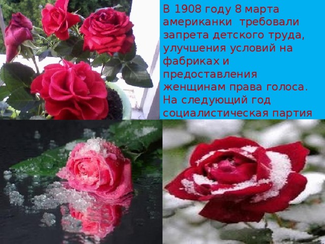 В 1908 году 8 марта американки требовали запрета детского труда, улучшения условий на фабриках и предоставления женщинам права голоса. На следующий год социалистическая партия Америки провозгласила последнее воскресенье февраля Национальным женским днем.