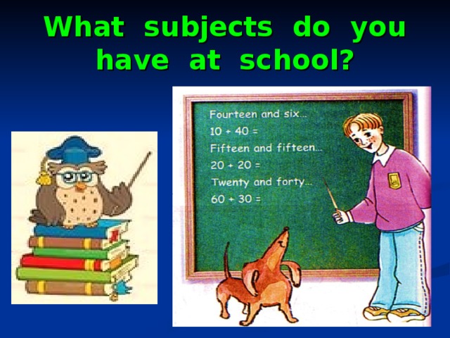 What subjects do you have at school?