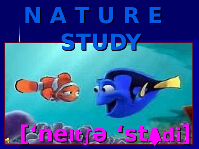 N A T U R E STUDY [‘ne It∫ ə  ‘st Λ di ]